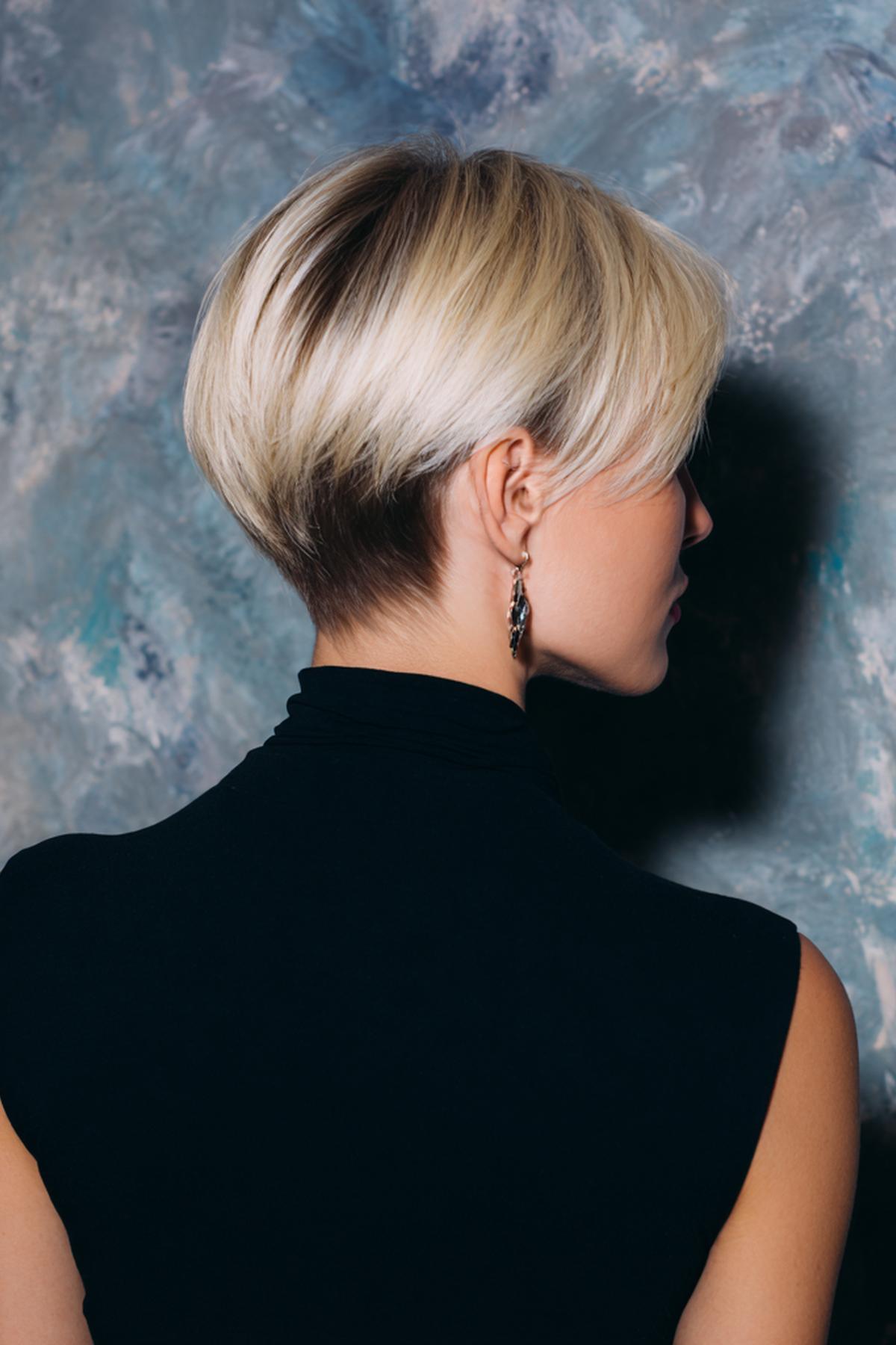 Blonde Stacked Pixie Bob
